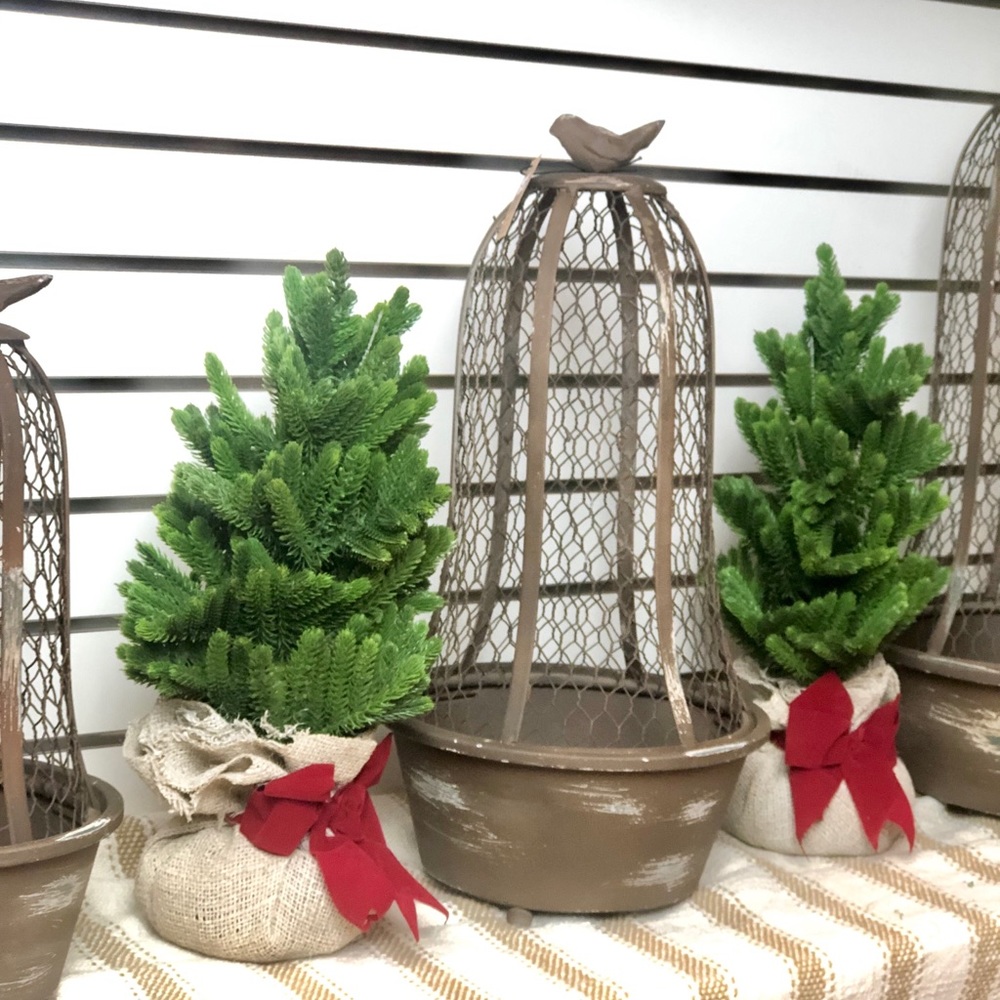 X S O L D X  Miniature Christmas Trees Set